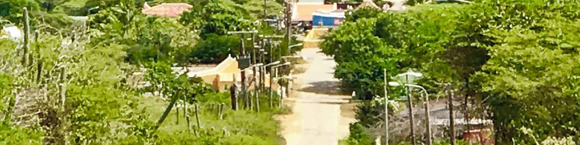 Entering the very old town of Rincon in the inland valley of Bonaire 🇧🇶. Established in the 16th century by the Spanish. Home of The Cadushy Distillery where you can sample cactus🌵juice!
#Perspectives #Rincon #Bonaire #NetherlandAntilles