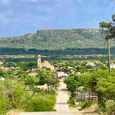 Entering the very old town of Rincon in the inland valley of Bonaire 🇧🇶. Established in the 16th century by the Spanish. Home of The Cadushy Distillery where you can sample cactus🌵juice!
#Perspectives #Rincon #Bonaire #NetherlandAntilles