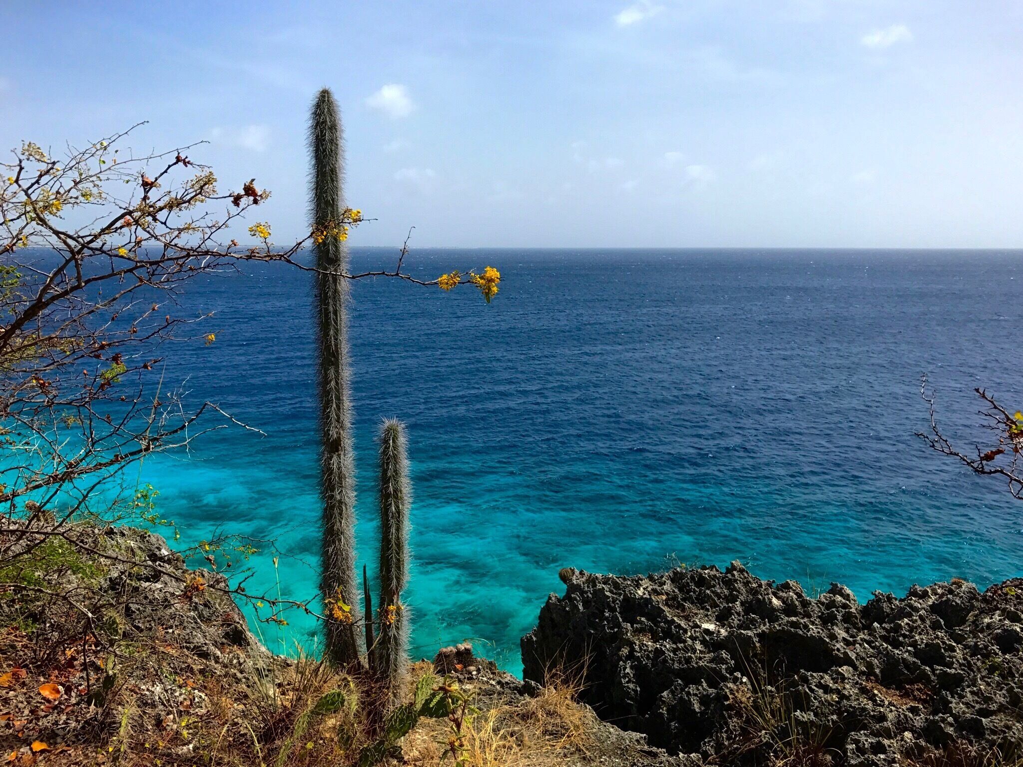 This one way road follows the West coast. The turquoise waters around the island are beautiful.
#BVSBlue Photo Contest 
