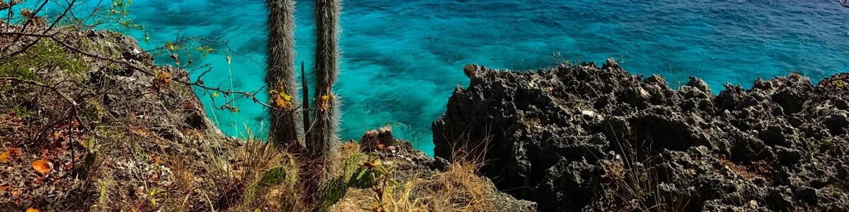 A coastal landscape with clear blue waters, rocky terrain, and cacti.