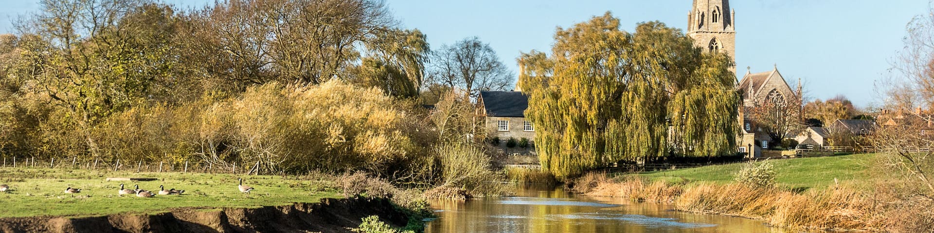 A river with ducks, a church, and trees.