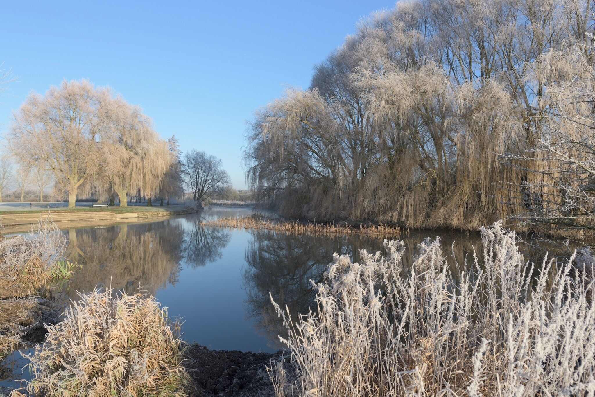 A calm river with frost-covered trees and vegetation.