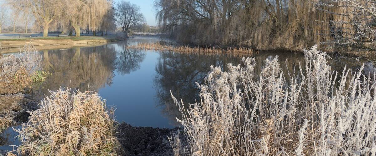 A calm river with frost-covered trees and vegetation.