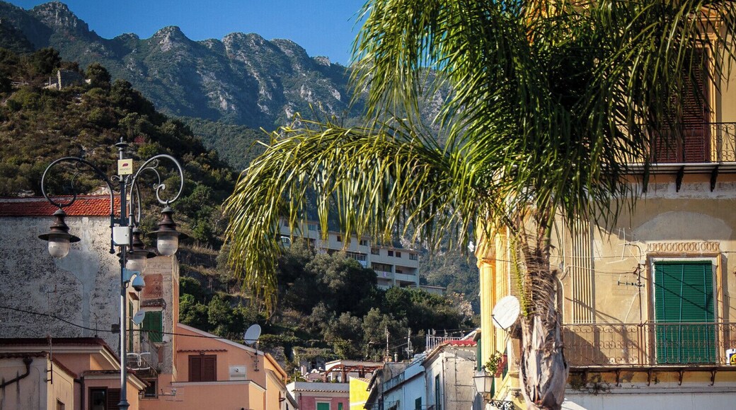 Cetara is a town in the Campania region of south-western Italy. It is located in the territory of the Amalfi Coast. The village was originally a settlement for a group of armed Muslims in 880. Characterized to be a village of fishermen (especially of tuna), its name take origins probably from the Latin word Cetaria (in Greek Ketèia), meaning almadraba (in Italian tonnara); or cetari, meaning fishmongers of big fishes.