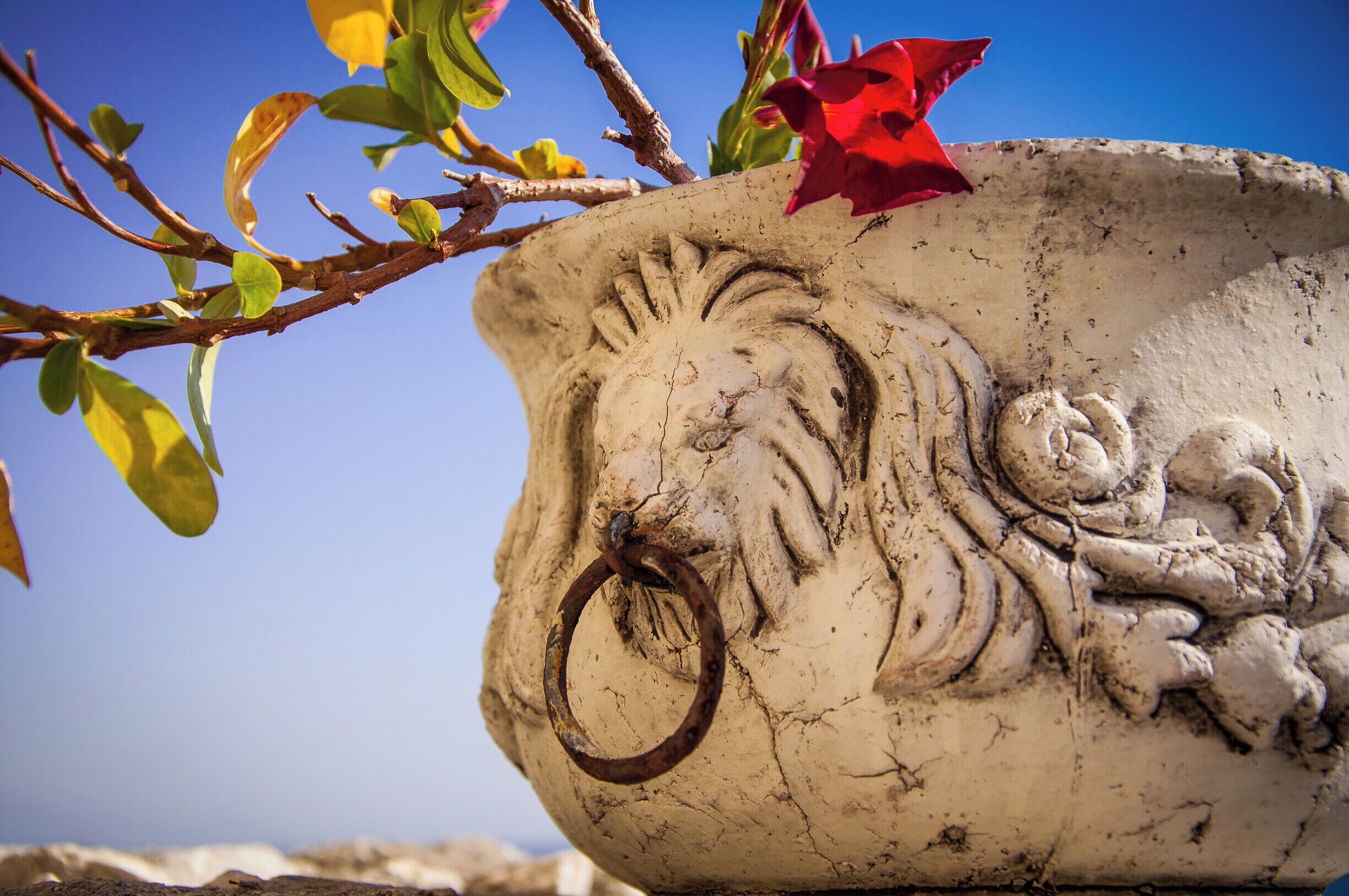 Cetara is a town in the Campania region of south-western Italy. It is located in the territory of the Amalfi Coast. The village was originally a settlement for a group of armed Muslims in 880. Characterized to be a village of fishermen (especially of tuna), its name take origins probably from the Latin word Cetaria (in Greek Ketèia), meaning almadraba (in Italian tonnara); or cetari, meaning fishmongers of big fishes.