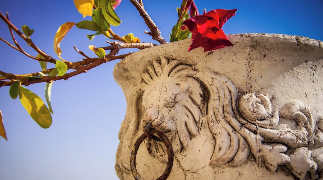 Cetara is a town in the Campania region of south-western Italy. It is located in the territory of the Amalfi Coast. The village was originally a settlement for a group of armed Muslims in 880. Characterized to be a village of fishermen (especially of tuna), its name take origins probably from the Latin word Cetaria (in Greek Ketèia), meaning almadraba (in Italian tonnara); or cetari, meaning fishmongers of big fishes.