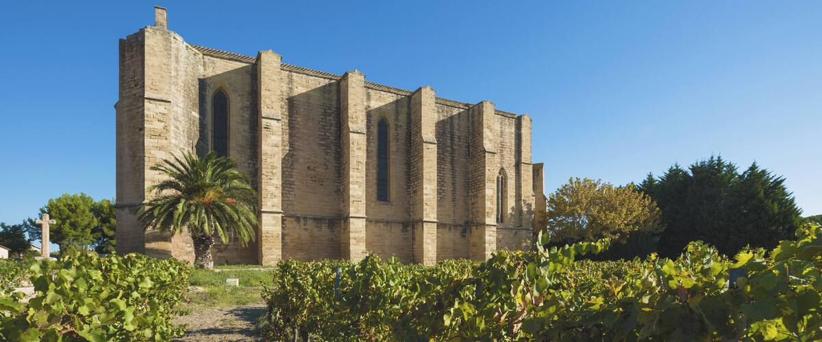 A historic stone building with arched windows and a palm tree in the foreground.