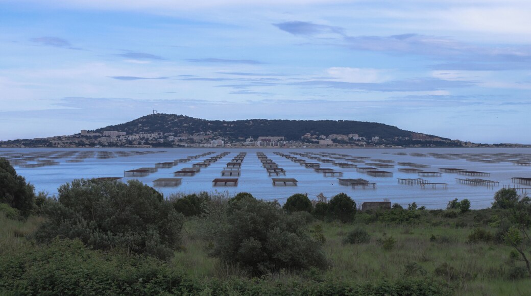 The Mont Saint-Clair (commune of Sète) and the Étang de Thau with these oyster tables from the commune of Loupian, Hérault, France.