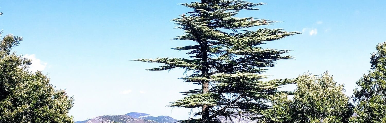Sur le chemin de la randonnée vers le rocher des deux vierges