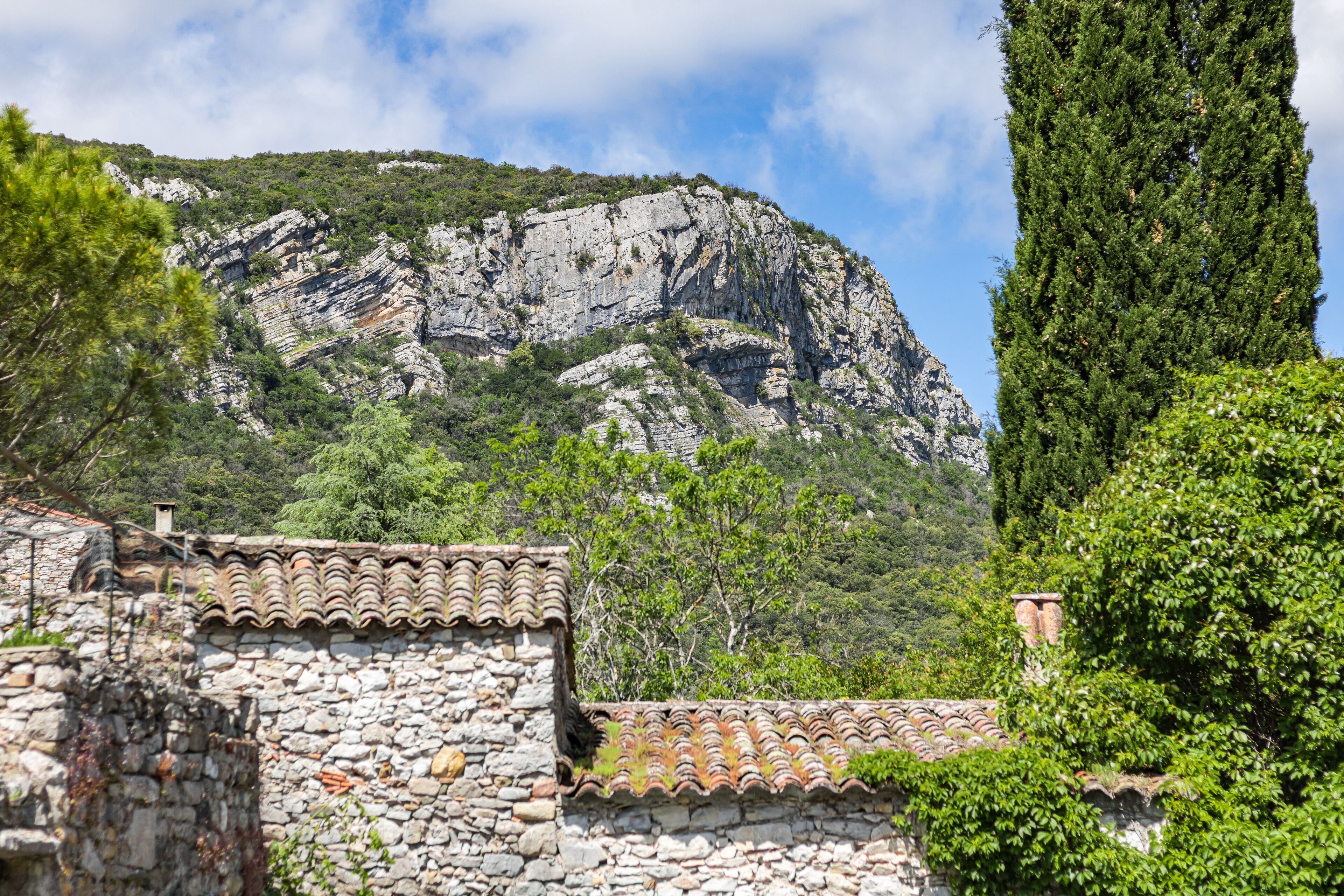 A stone building with a tiled roof, a mountain with rocky cliffs, and a tall evergreen tree.