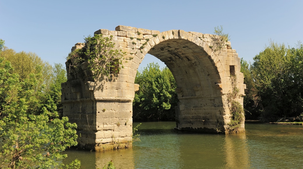 An ancient stone arch bridge over a river, surrounded by lush greenery.