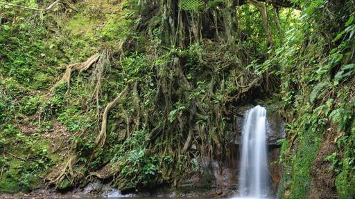 The lodge is an amazing place, high up in the mountains in Costa Rica 2 hrs from San Jose. If you like Birds the feeder is full of hummingbirds during the day. Also great walks all over CR to visit waterfalls like this, just 2kms from the lodge we were staying at. . . . #costarica #quetzal #waterfall #pool