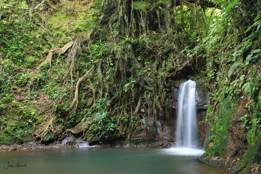 The lodge is an amazing place, high up in the mountains in Costa Rica 2 hrs from San Jose. If you like Birds the feeder is full of hummingbirds during the day. Also great walks all over CR to visit waterfalls like this, just 2kms from the lodge we were staying at. . . . #costarica #quetzal #waterfall #pool