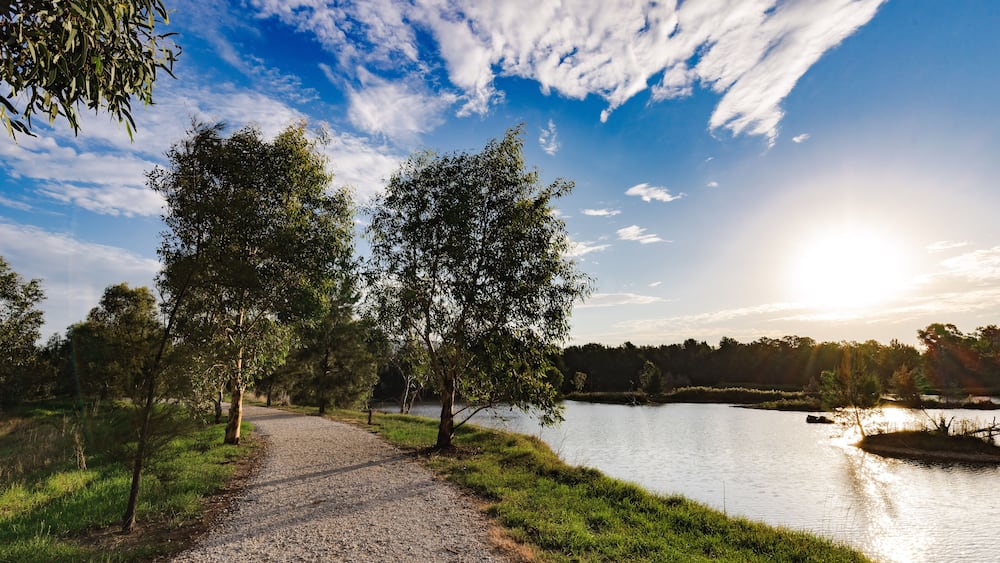 Putta Bucca wetland at Mudgee NSW