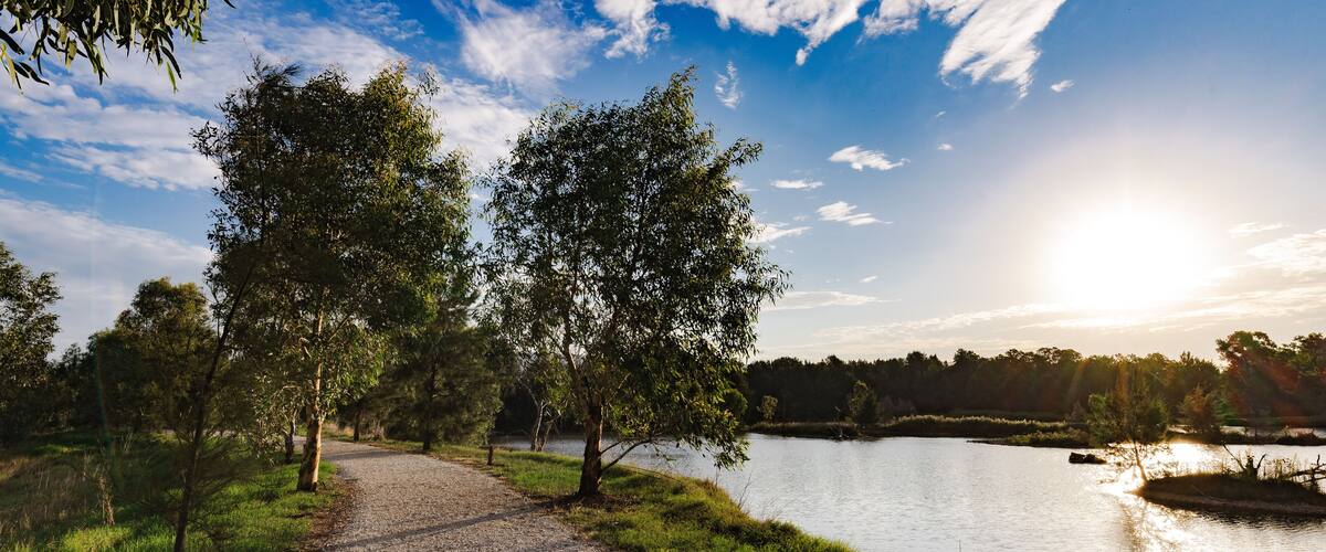 A gravel path beside a calm lake with trees and a clear sky.