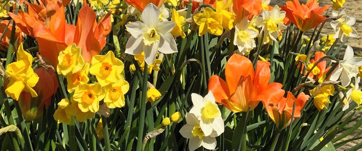 Eine sehr gemĂŒtliche Stadt, der Besuch ist sehr empfehlenswert!!!