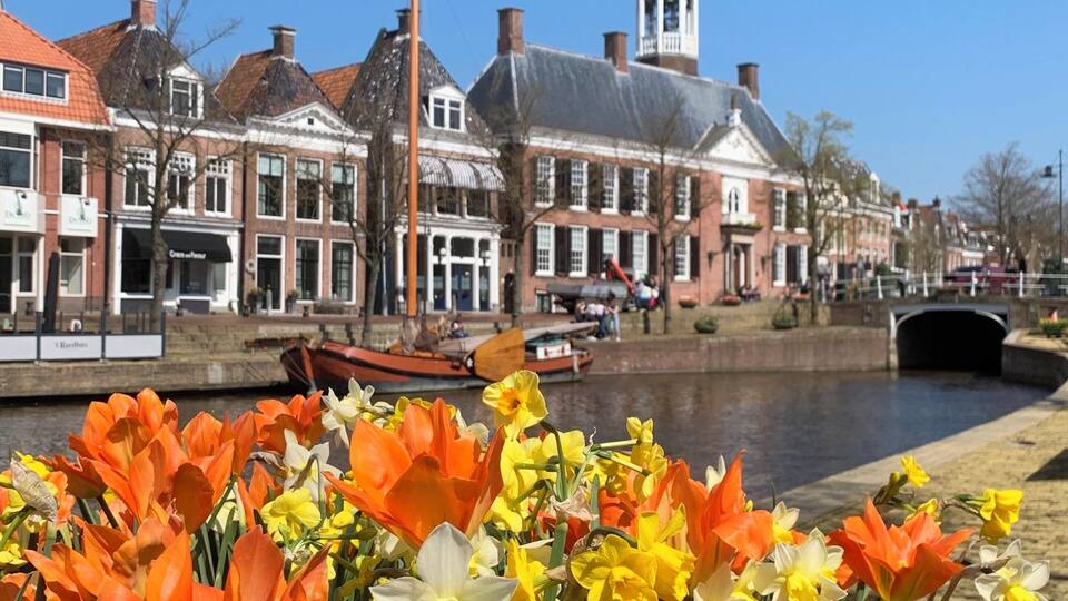 A canal with tulips and daffodils in the foreground, historic buildings, and a clock tower in the background.