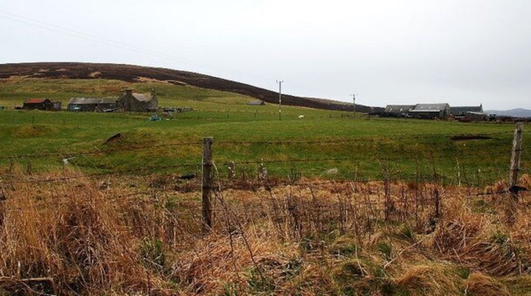 Newhouse and Netherhouse Left and right, respectively. The hill to the left is the delightfully named "Rowamo".