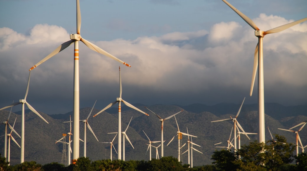 Istmo de Tehuantepec se produce energía eólica