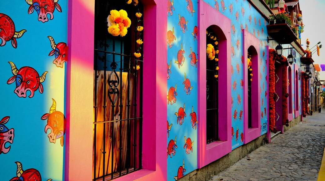 Blue Restaurant with Pink Window Frames and Bull Motifs (Oaxaca de Juarez, Oaxaca, Mexico – November 7, 2025)