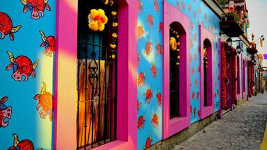 Blue Restaurant with Pink Window Frames and Bull Motifs (Oaxaca de Juarez, Oaxaca, Mexico – November 7, 2025)