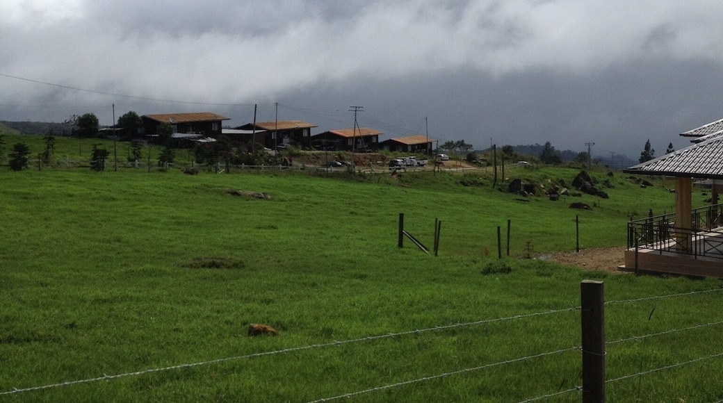 Never thought we have such a nice place in Sabah, Malaysia. Windy and cozy <3