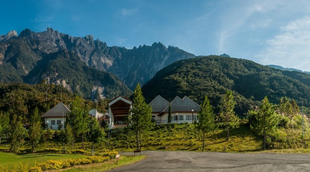 A panorama so vivid, so serene and so #green will surely take your breath away!
For more such cool pictures, do visit our blog! :)