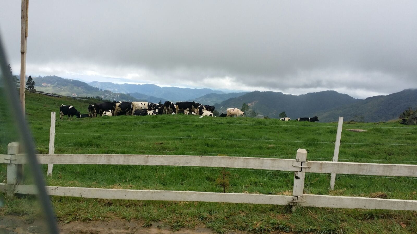 Beautiful view, great ice- cream