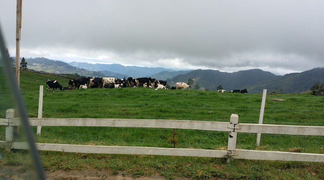 Beautiful view, great ice- cream