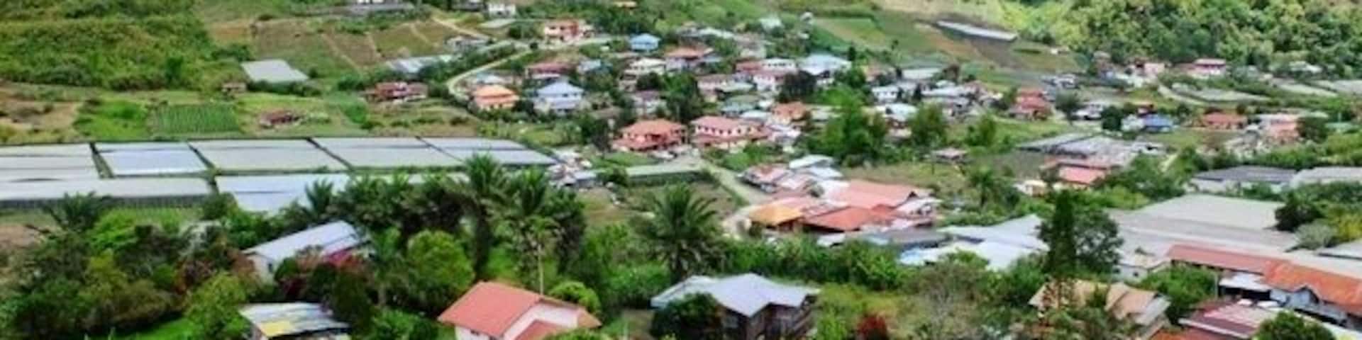 A hillside village with houses, terraced fields, and mountains in the background.