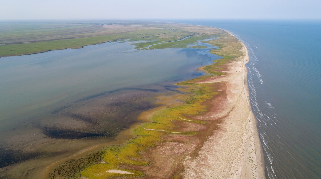 Aerial View of Sacalin Peninsula in Danube Delta