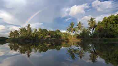 A calm lake with reflections of palm trees and a rainbow.