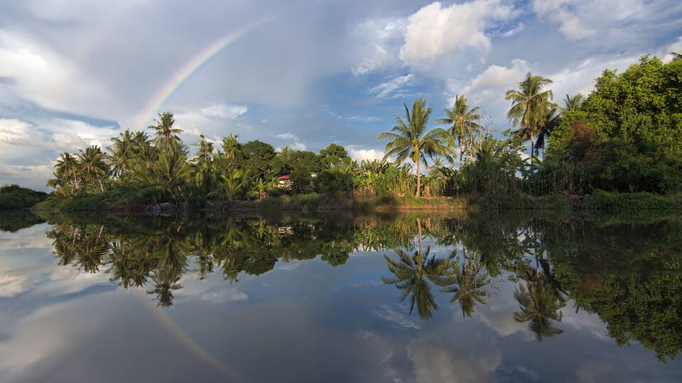 A calm lake with reflections of palm trees and a rainbow.