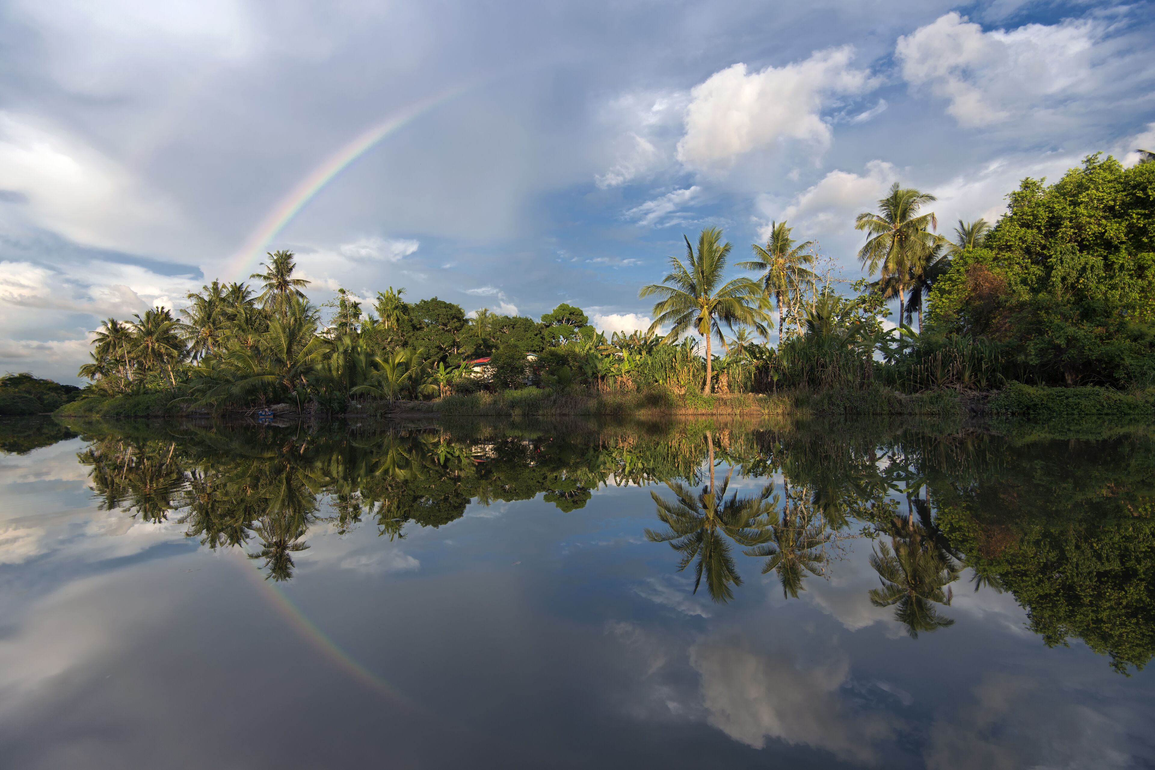 A calm lake with reflections of palm trees and a rainbow.