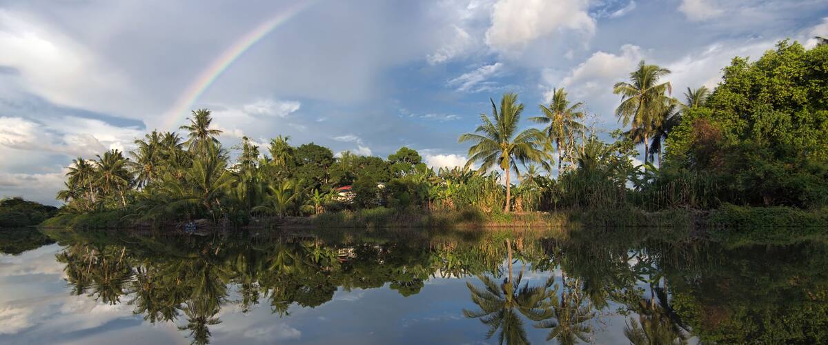 A calm lake with reflections of palm trees and a rainbow.