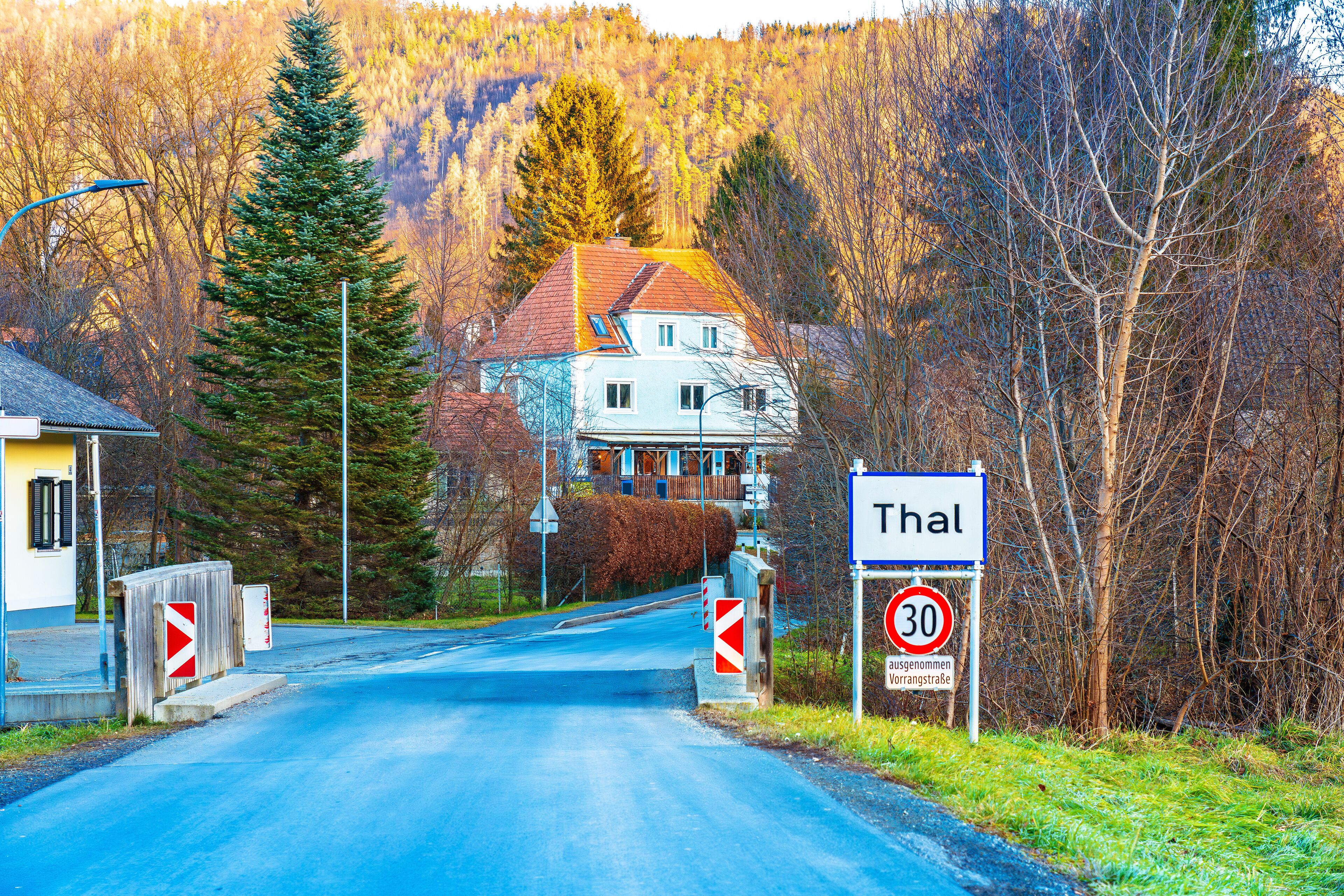 A road leading to a house with a red roof, surrounded by trees and a mountainous backdrop.