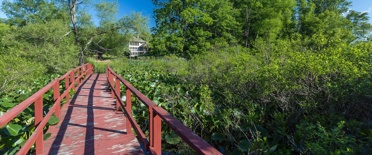 A red wooden bridge over a pond surrounded by lush greenery and trees.