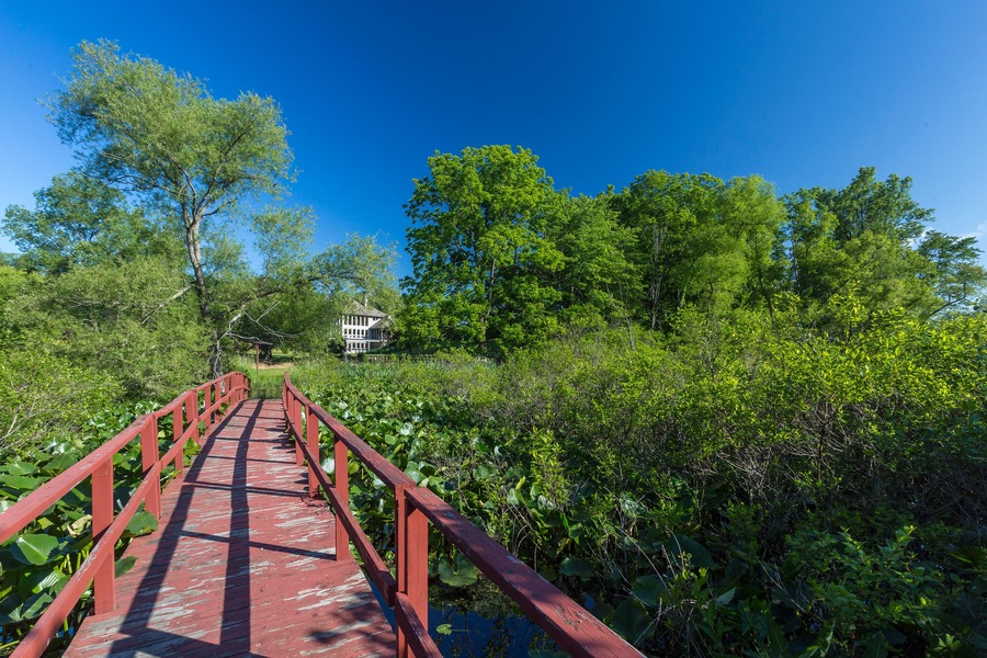 A red wooden bridge over a pond surrounded by lush greenery and trees.