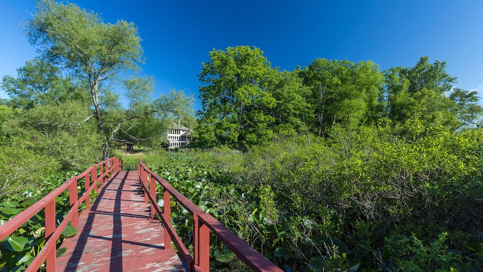 A red wooden bridge over a pond surrounded by lush greenery and trees.