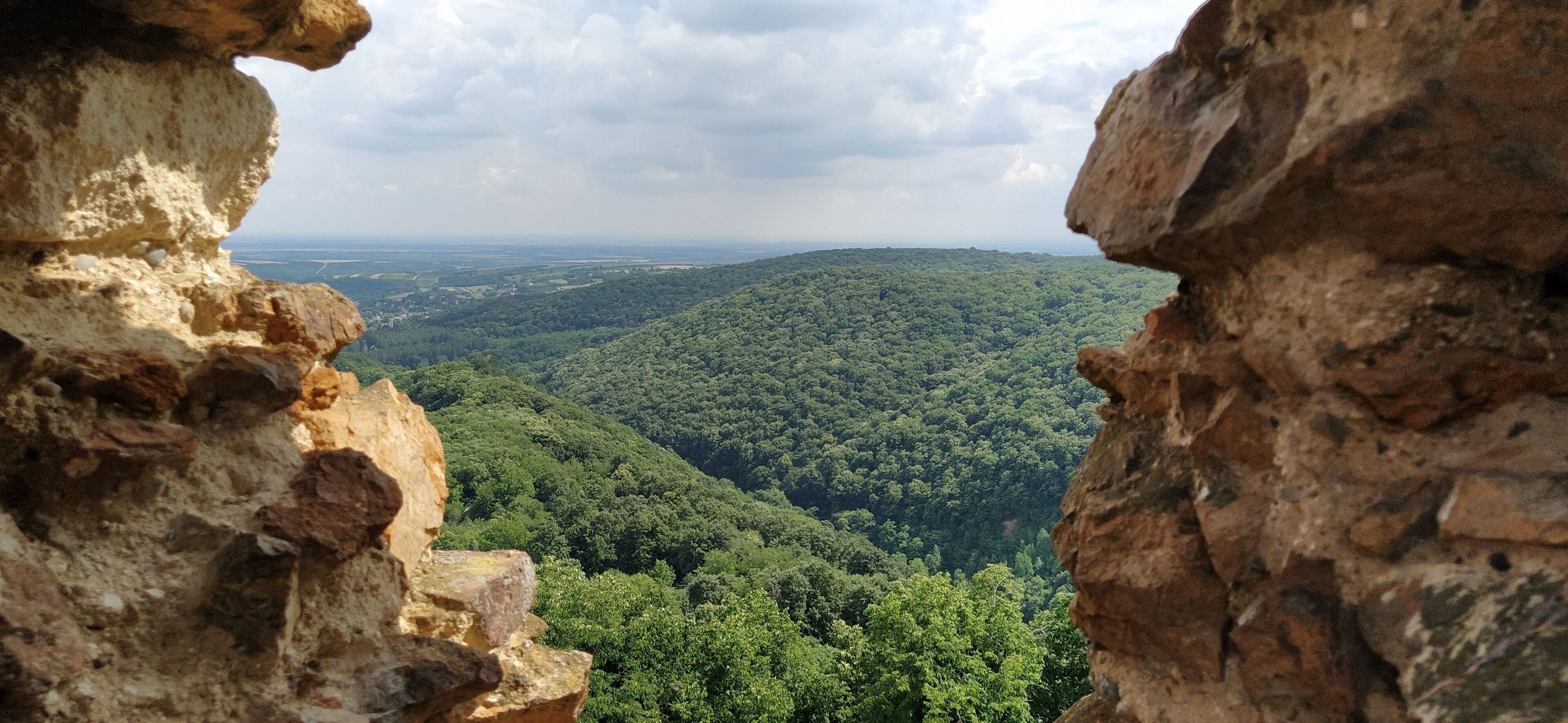 A rocky cliff with a view of a dense forest and distant hills.