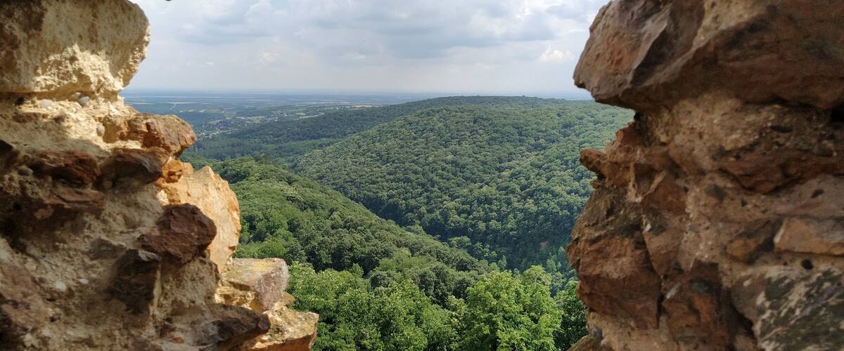 A rocky cliff with a view of a dense forest and distant hills.