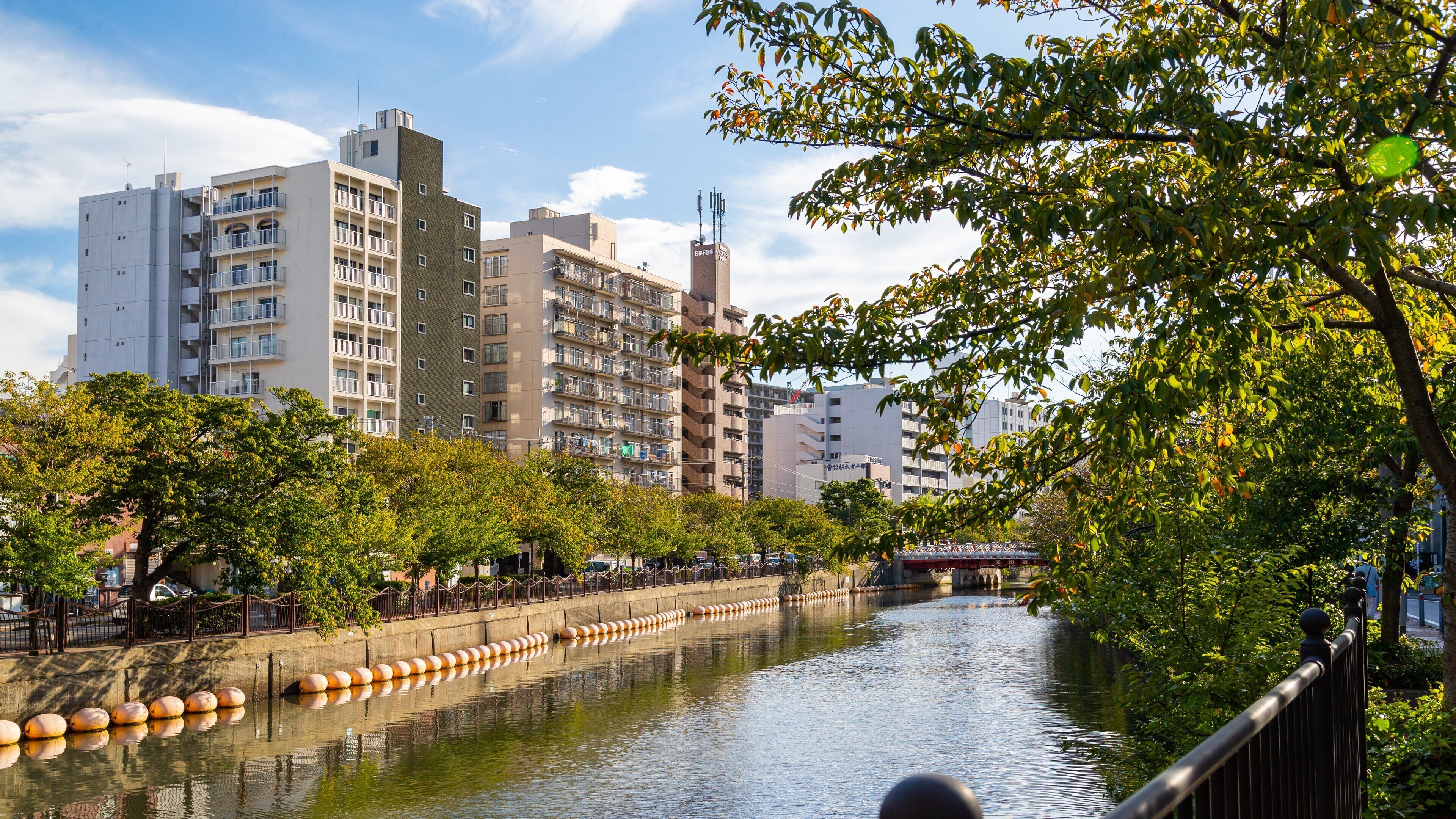 Yokohama showing a river or creek