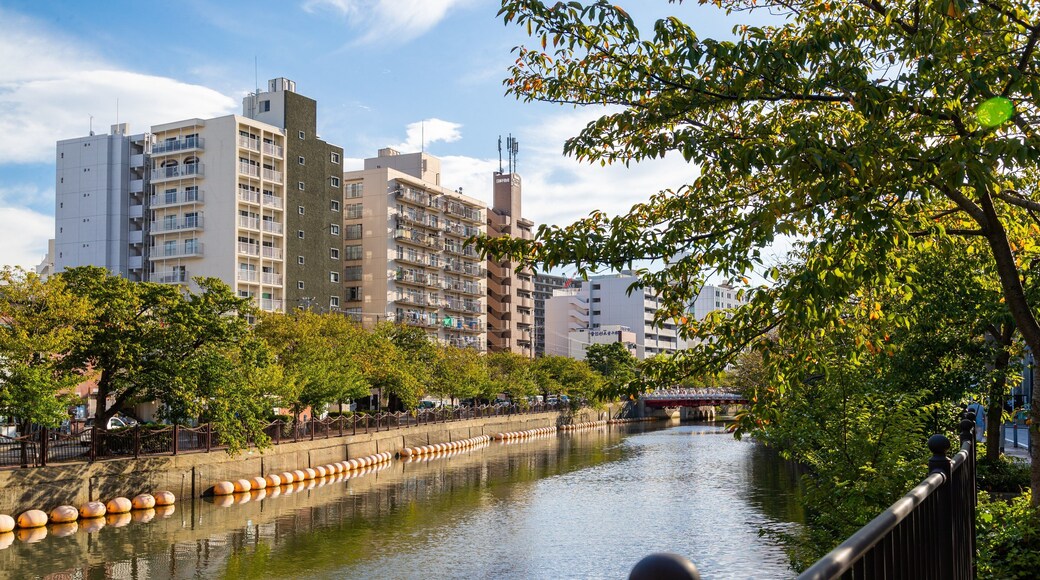 Yokohama showing a river or creek