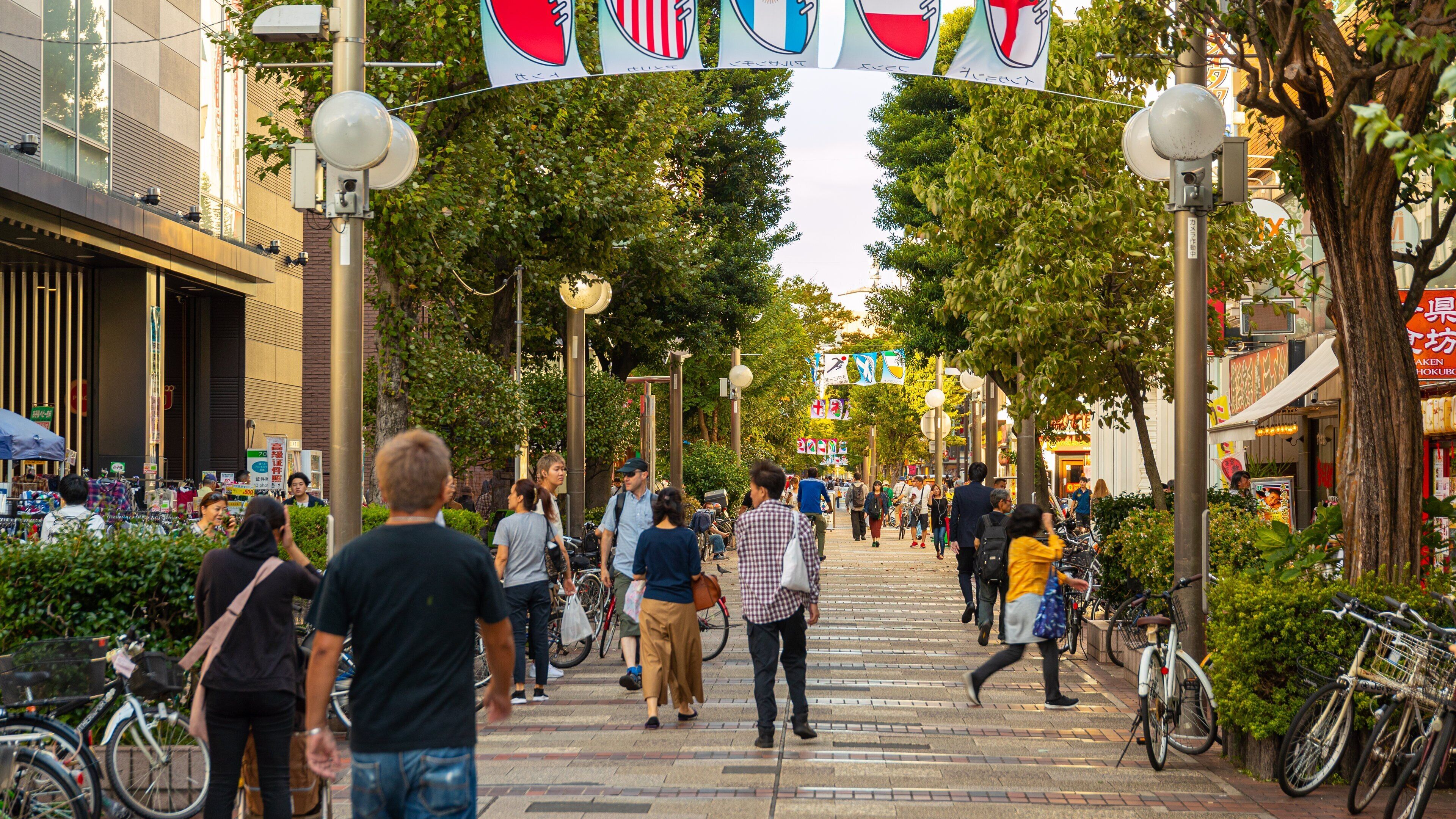 St Maarten and St Martin showing street scenes