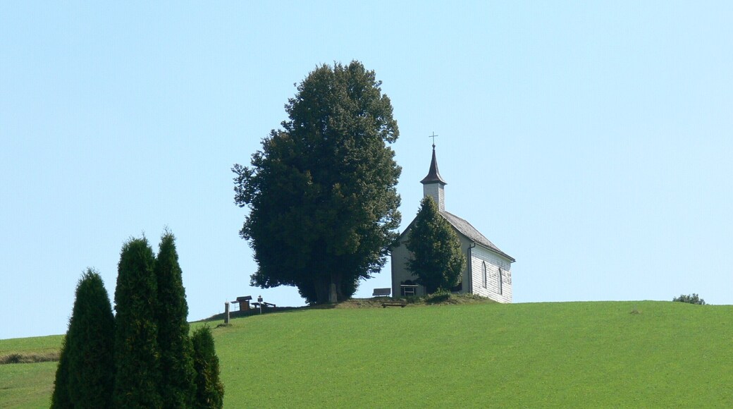 Lembach ( Upper Austria ). Mühlholz chapel ( 1844 )
