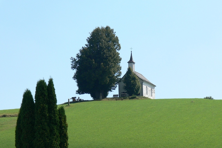 A church on a hill with a large tree in the foreground.