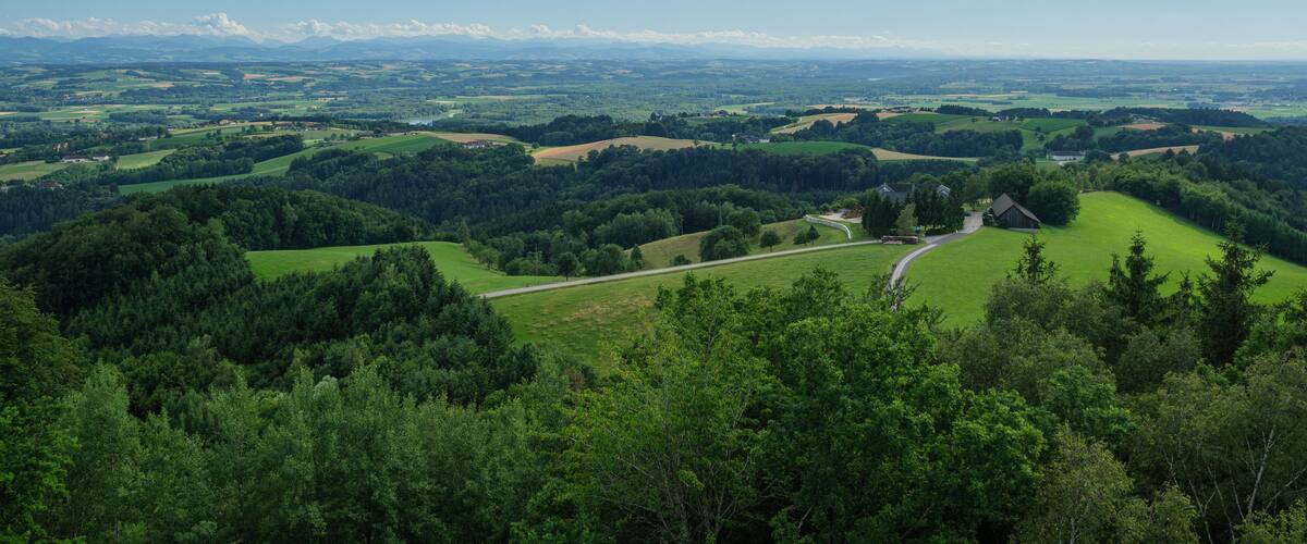A lush green landscape with rolling hills, a winding road, and a distant mountain range under a clear blue sky.