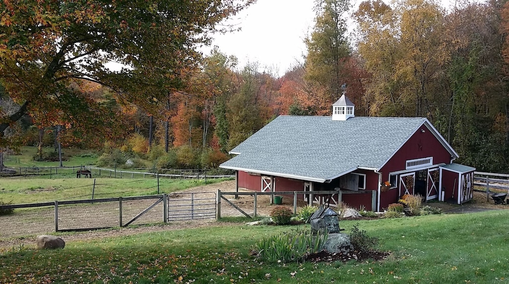 Beautiful fall colors on a horse farm