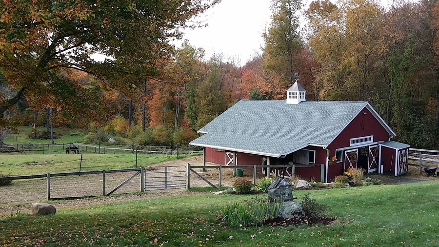 Beautiful fall colors on a horse farm