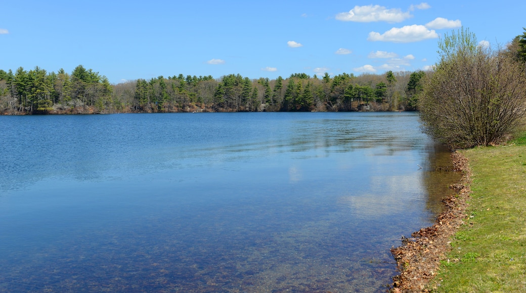 Lake Chaubunagungamaug aka Webster Lake in spring in town of Webster, Massachusetts MA, USA. The original name Lake is the longest name in US.